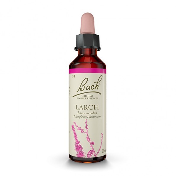 LARCH - Mélèze