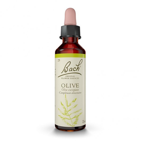 OLIVE - Olivier