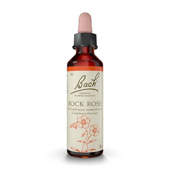 ROCK ROSE - Hélianthème