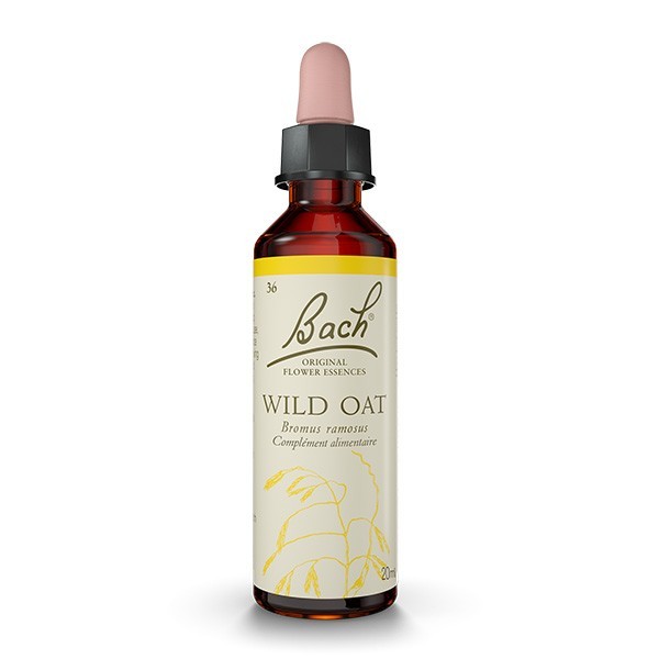 WILD OAT - Fol Avoine