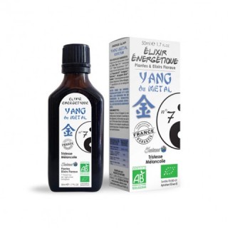 N°7 YANG DE METAL (Poumon)