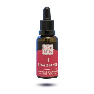 4 - RENAISSANCE