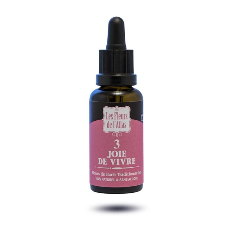 3 - JOIE DE VIVRE