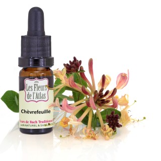 chèvrefeuille / honeysuckle / sans alcool / 10, 30 ml & 30 ml