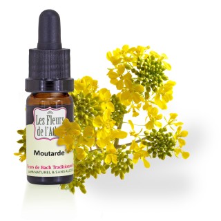 Moutarde / Mustard / sans alcool /  10, 30ml & 30 ml spray