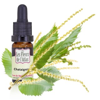 Châtaignier / Sweet Chestnut / sans alcool /  10, 30ml & 30 ml spray