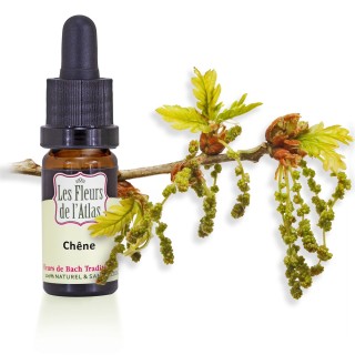 Chêne / Oak / sans alcool /  10, 30ml & 30 ml spray