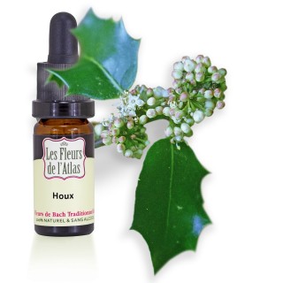 Houx / Holly / sans alcool / 10 & 30ml
