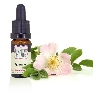 Eglantier / Wild Rose / sans alcool / 10 & 30ml