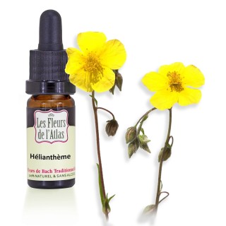 Hélianthème / Rock Rose / sans alcool / 10 & 30ml