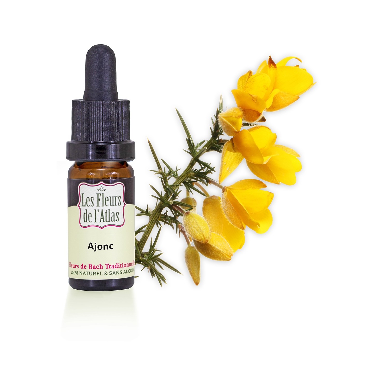 Ajonc / Gorse / sans alcool / 10, 30 ml & 30ml