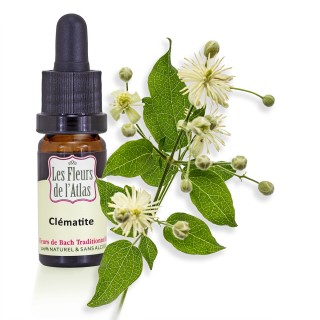 Clématite / Clematis / sans alcool / 10 & 30ml