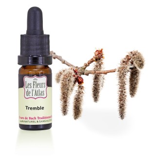 Tremble / Aspen / sans alcool /  10, 30ml & 30 ml spray