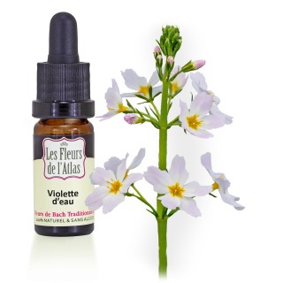 Violette  d'eau / Water Violet / sans alcool / 10, 30 & 30ml