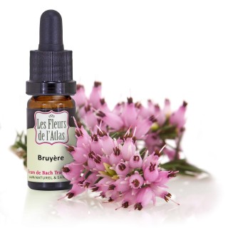 Bruyère / Heather / sans alcool / 10 & 30ml