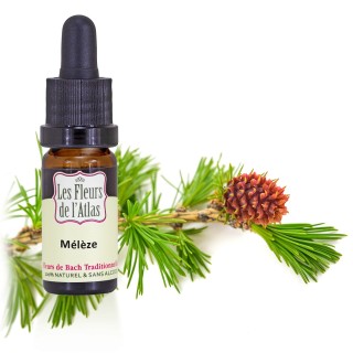 Mélèze / Larch / sans alcool /  10, 30ml & 30 ml spray