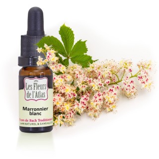 MARRONNIER BLANC / WHITE CHESTNUT / SANS ALCOOL - Fleurs de l'Atlas