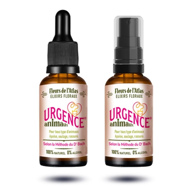 URGENCE® ANIMAUX sans alccol