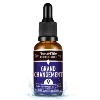 9 - GRANDS CHANGEMENTS