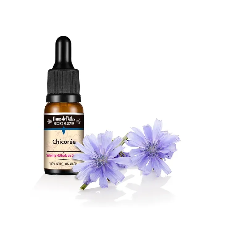 CHICORÉE / CHICORY / SANS ALCOOL