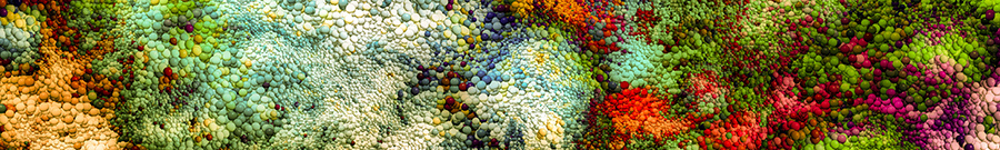 Pollen - Solution MBP Virus et Bacteria