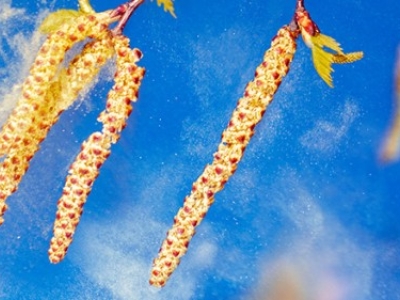 Quelques façons de se préparer pour le printemps